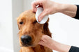 Toalhetes de olhos com aloé vera para limpar cães e gatos, extra grandes - PetDoctors - Loja Online