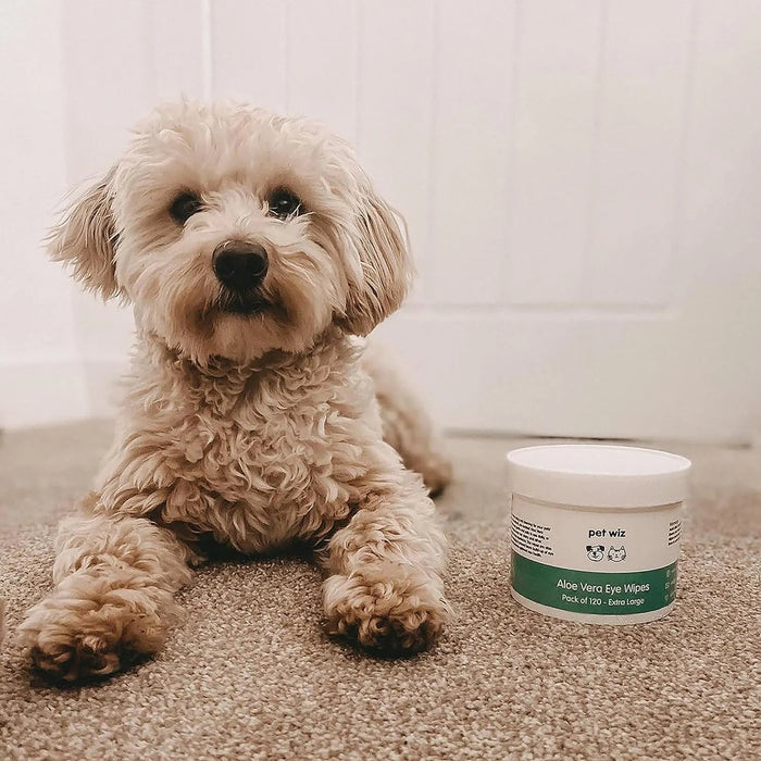 Toalhetes de olhos com aloé vera para limpar cães e gatos, extra grandes - PetDoctors - Loja Online