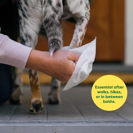 Toalhetes hipoalergénicas para cães, para limpar e remover odores em cachorros e cães adultos - PetDoctors - Loja Online