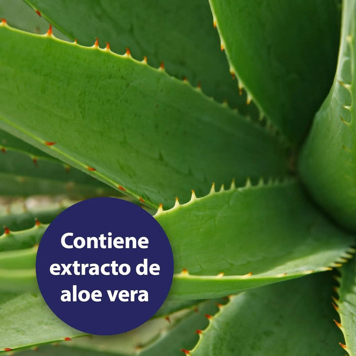Toalhetes para cuidar dos olhos para cães - cuidado e limpeza para a área ao redor dos olhos - elimina manchas de lágrimas de cães - sem fragrâncias - PetDoctors - Loja Online