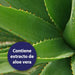 Toalhetes para cuidar dos olhos para cães - cuidado e limpeza para a área ao redor dos olhos - elimina manchas de lágrimas de cães - sem fragrâncias - PetDoctors - Loja Online