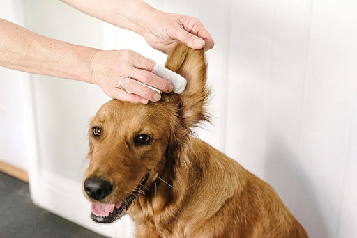 Toalhetes para os ouvidos de cães e gatos. Limpam, acalmam e desodorizam com ingredientes ativos naturais, aloé vera, hamamelis, óleo da árvore do chá e extrato de camomila azul - PetDoctors - Loja Online