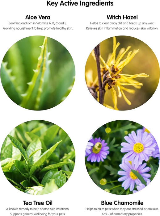 Toalhetes para os ouvidos de cães e gatos. Limpam, acalmam e desodorizam com ingredientes ativos naturais, aloé vera, hamamelis, óleo da árvore do chá e extrato de camomila azul - PetDoctors - Loja Online