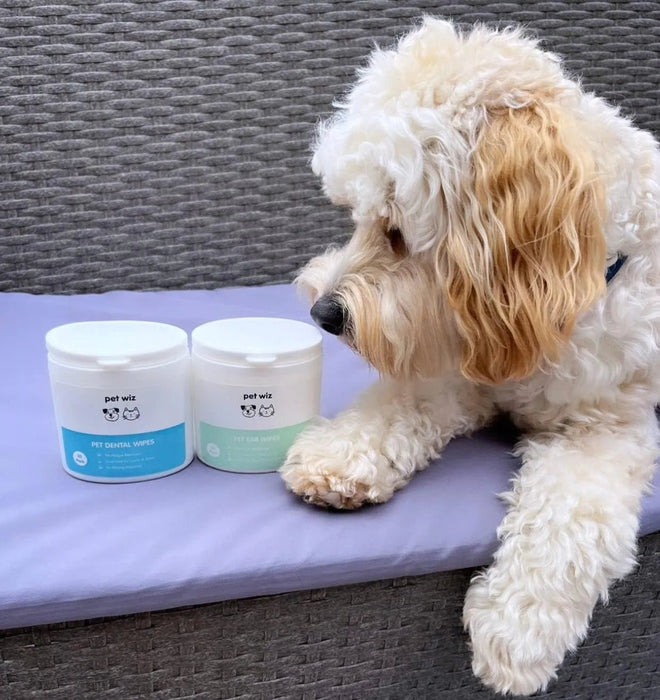 Toalhetes para os ouvidos de cães e gatos. Limpam, acalmam e desodorizam com ingredientes ativos naturais, aloé vera, hamamelis, óleo da árvore do chá e extrato de camomila azul - PetDoctors - Loja Online