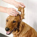 Toalhetes para os ouvidos de cães e gatos. Limpam, acalmam e desodorizam com ingredientes ativos naturais, aloé vera, hamamelis, óleo da árvore do chá e extrato de camomila azul - PetDoctors - Loja Online