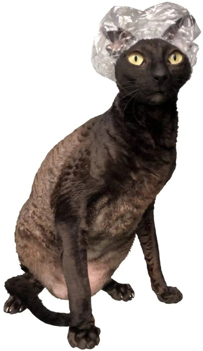 Toucas de Banho para Gatos Sphynx ou Cães de Raças Pequenas - 20 unidades - PetDoctors - Loja Online