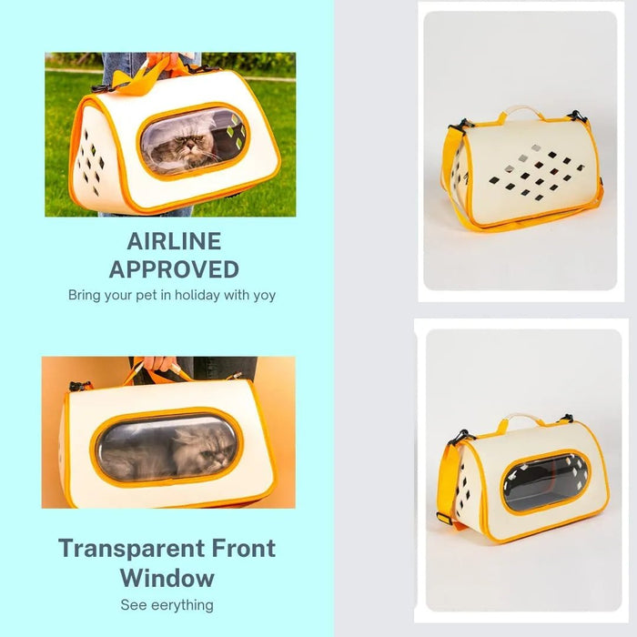 🐱 Transportadora de ombro para Gatos: transparente, leve e ventilada. ✅ Aprovada para Cabine de Avião - PetDoctors - Loja Online