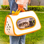 🐱 Transportadora de ombro para Gatos: transparente, leve e ventilada. ✅ Aprovada para Cabine de Avião - PetDoctors - Loja Online
