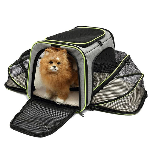 Transportadora para Cães e Gatos - PetDoctors - Loja Online