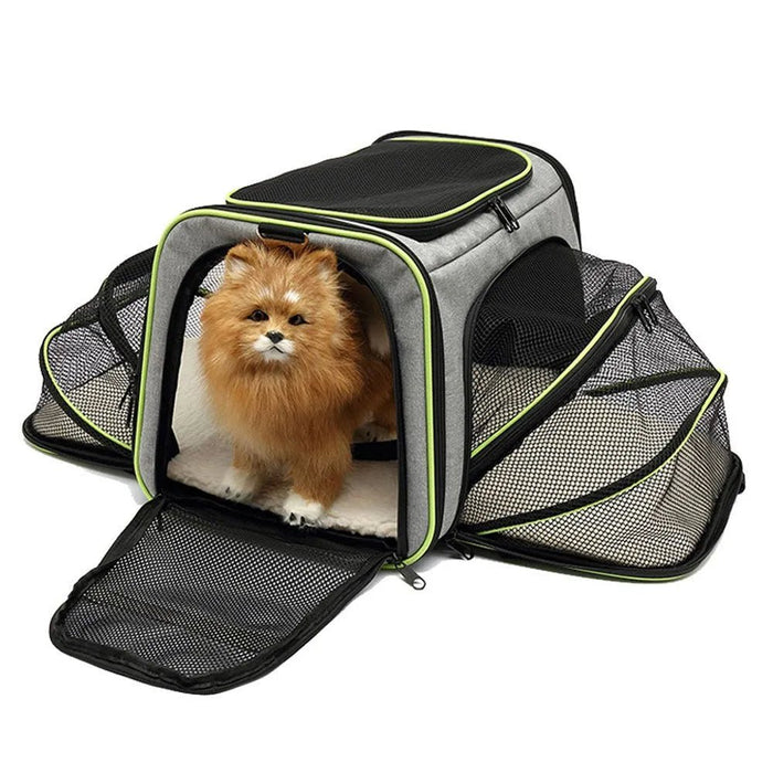 Transportadora para Cães e Gatos - PetDoctors - Loja Online