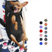 Transportadora Respirável tipo Mochila para Cães de raças pequenas e médias - PetDoctors - Loja Online