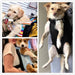 Transportadora Respirável tipo Mochila para Cães de raças pequenas e médias - PetDoctors - Loja Online