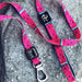 Trela "Bond4Love" para Cães, com 120 cm - PetDoctors - Loja Online