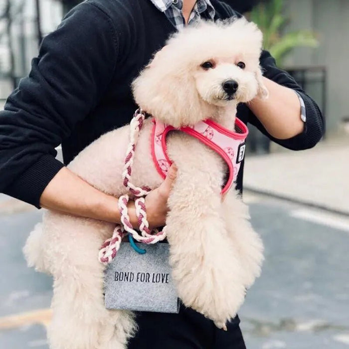 Trela "Bond4Love" para Cães, em Algodão, com1.2 metros (Para Cães Médios e Grandes) - PetDoctors - Loja Online