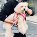 Trela "Bond4Love" para Cães, em Algodão, com1.2 metros (Para Cães Médios e Grandes) - PetDoctors - Loja Online