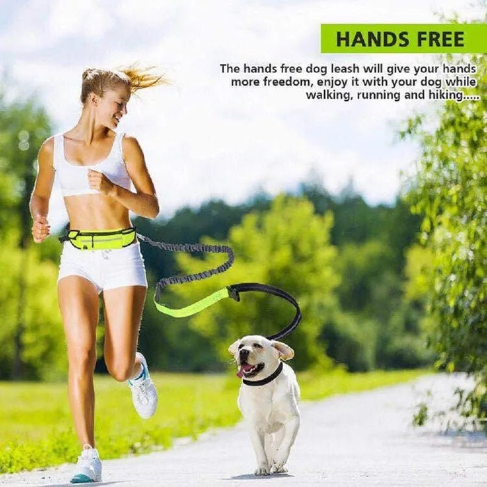 Trela / Cinto Reflectora e Elástica para Corrida - PetDoctors - Loja Online
