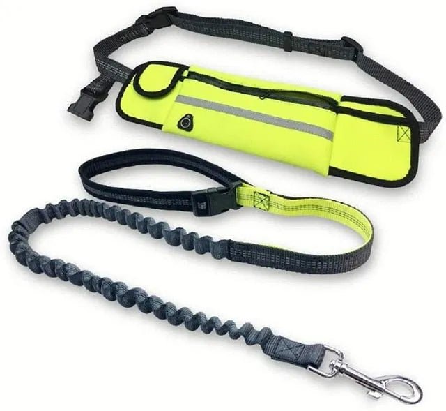 Trela / Cinto Reflectora e Elástica para Corrida - PetDoctors - Loja Online