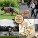 Trela de Alta Qualidade em Cabedal - PetDoctors - Loja Online