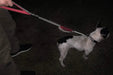 Trela de treino, Reflectora, com duas pegas, para cães - PetDoctors - Loja Online