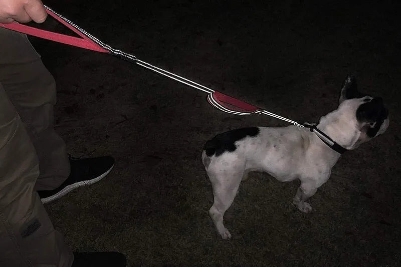 Trela de treino, Reflectora, com duas pegas, para cães - PetDoctors - Loja Online