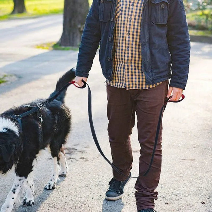Trela de treino, Reflectora, com duas pegas, para cães - PetDoctors - Loja Online