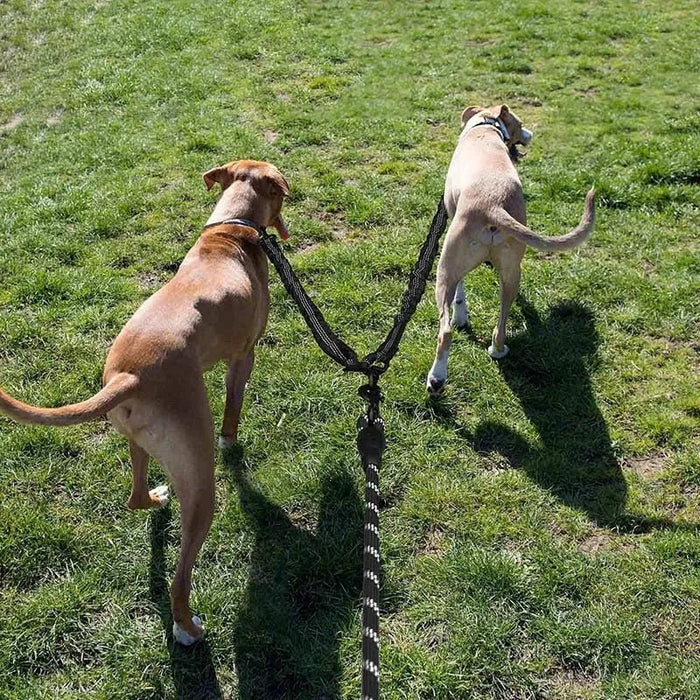 Trela Dupla (para 2 cães simultâneamente, anti - entrelaçamento) - PetDoctors - Loja Online