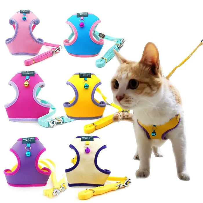 Trela e Peitoral para Gatos e Cães de Raças Pequenas - PetDoctors - Loja Online