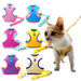 Trela e Peitoral para Gatos e Cães de Raças Pequenas - PetDoctors - Loja Online