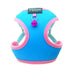 Trela e Peitoral para Gatos e Cães de Raças Pequenas - PetDoctors - Loja Online
