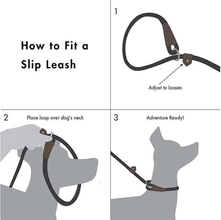 Trela tipo "slip rope", 2 em 1, ajustável, para Cães Médios e Grandes - PetDoctors - Loja Online