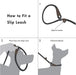 Trela tipo "slip rope", 2 em 1, ajustável, para Cães Médios e Grandes - PetDoctors - Loja Online