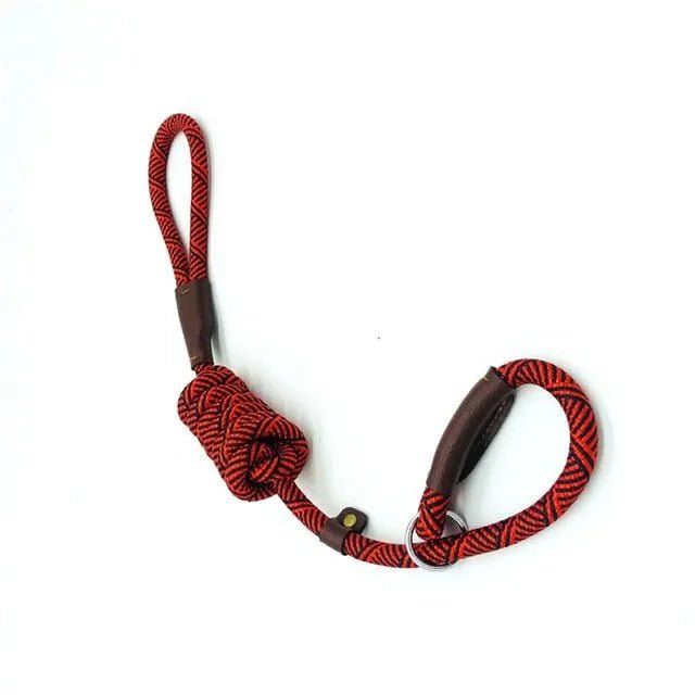 Trela tipo "slip rope", 2 em 1, ajustável, para Cães Médios e Grandes - PetDoctors - Loja Online