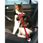 Trixie - Arnês para carro, para gatos - PetDoctors - Loja Online