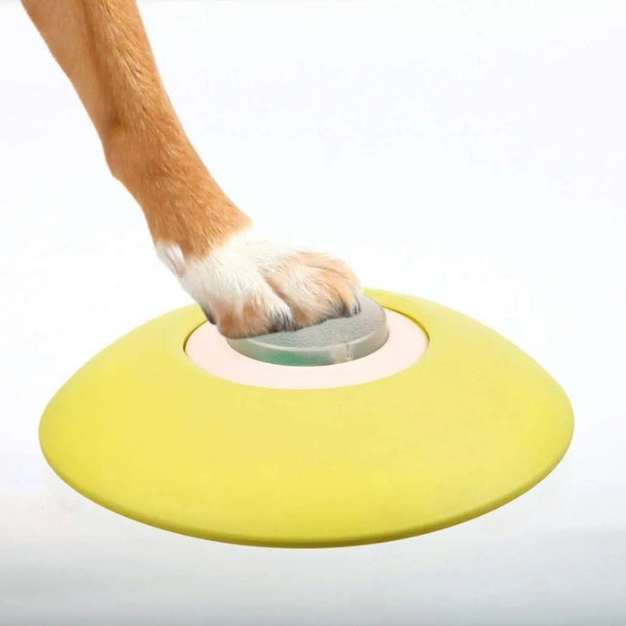 TRIXIE Brinquedo - Dog Activity Memory Trainer, 20 × 24 cm, nível 3, para Cão - PetDoctors - Loja Online