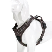 Truelove - Peitoral Almofadado para Cão em Nylon - PetDoctors - Loja Online