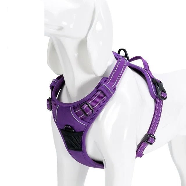 Truelove - Peitoral Almofadado para Cão em Nylon - PetDoctors - Loja Online