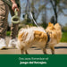 Tug of War - Brinquedo interativo para cães adultos e cachorros, aderência ergonómica, borracha natural - PetDoctors - Loja Online