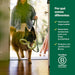 Tug of War - Brinquedo interativo para cães adultos e cachorros, aderência ergonómica, borracha natural - PetDoctors - Loja Online