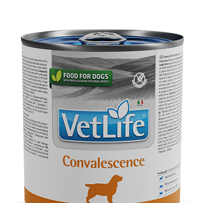 VetLife Convalescence Wet (6 latinhas de 300 gramas cada) - PetDoctors - Loja Online