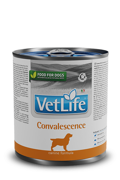 VetLife Convalescence Wet (6 latinhas de 300 gramas cada) - PetDoctors - Loja Online