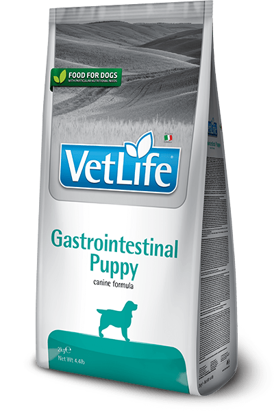 VetLife Gastrointestinal Puppy Canine - 2 Quilos - PetDoctors - Loja Online