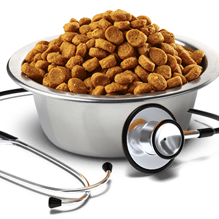 VetLife Gastrointestinal Puppy Canine - 2 Quilos - PetDoctors - Loja Online