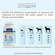 VITTALOGY Condroprotetor para cães. Anti - inflamatório natural com colagénio, condroitina, hialurónico e açafrão. Complemento alimentar para quadris, articulações e cartilagens (120 cápsulas) - PetDoctors - Loja Online