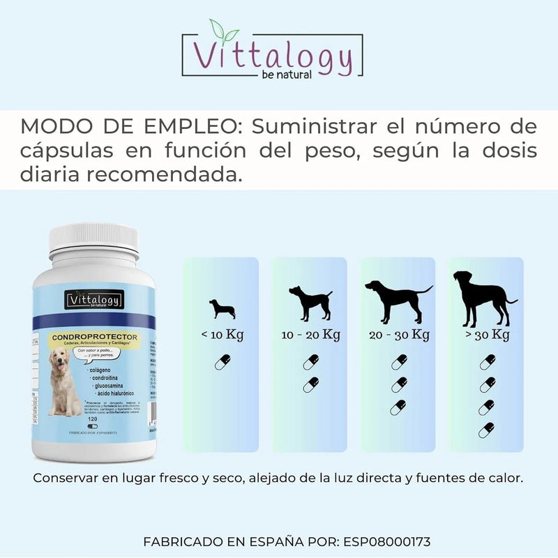 VITTALOGY Condroprotetor para cães. Anti - inflamatório natural com colagénio, condroitina, hialurónico e açafrão. Complemento alimentar para quadris, articulações e cartilagens (120 cápsulas) - PetDoctors - Loja Online