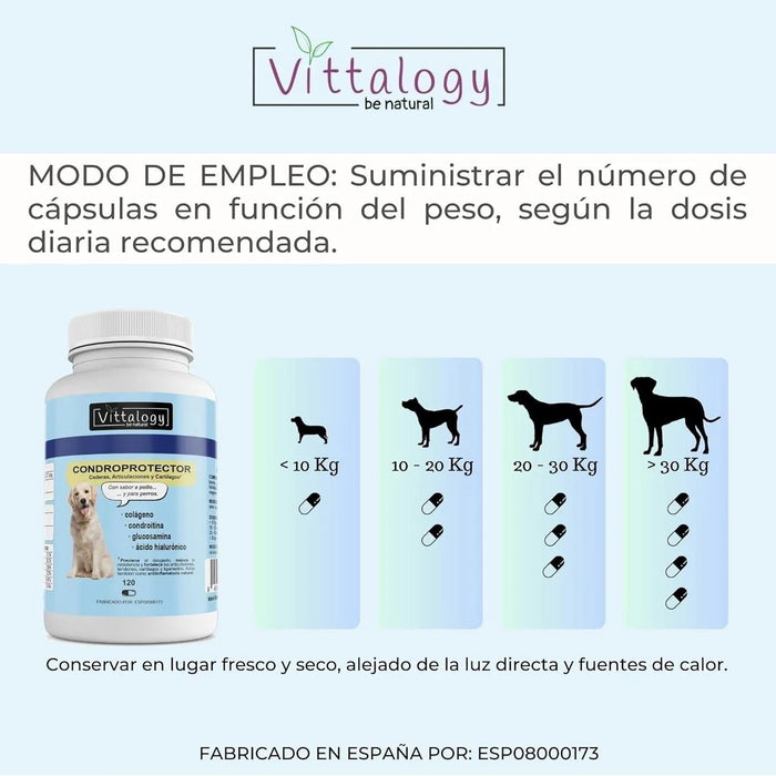 VITTALOGY Condroprotetor para cães. Anti - inflamatório natural com colagénio, condroitina, hialurónico e açafrão. Complemento alimentar para quadris, articulações e cartilagens (120 cápsulas) - PetDoctors - Loja Online