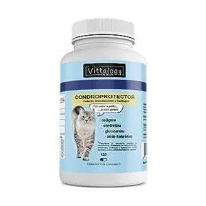 VITTALOGY Condroprotetor para cães. Anti - inflamatório natural com colagénio, condroitina, hialurónico e açafrão. Complemento alimentar para quadris, articulações e cartilagens (120 cápsulas) - PetDoctors - Loja Online