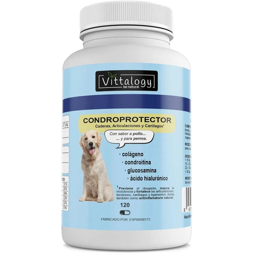 VITTALOGY Condroprotetor para cães. Anti - inflamatório natural com colagénio, condroitina, hialurónico e açafrão. Complemento alimentar para quadris, articulações e cartilagens (120 cápsulas) - PetDoctors - Loja Online