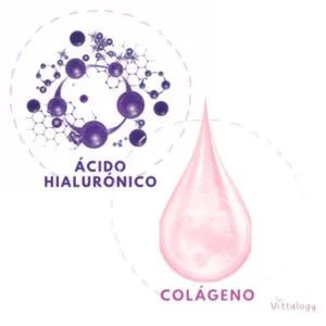 VITTALOGY Condroprotetor para cães. Anti - inflamatório natural com colagénio, condroitina, hialurónico e açafrão. Complemento alimentar para quadris, articulações e cartilagens (120 cápsulas) - PetDoctors - Loja Online