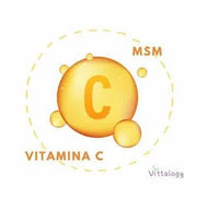 VITTALOGY Condroprotetor para cães. Anti - inflamatório natural com colagénio, condroitina, hialurónico e açafrão. Complemento alimentar para quadris, articulações e cartilagens (120 cápsulas) - PetDoctors - Loja Online
