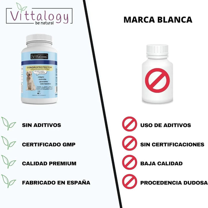 VITTALOGY Condroprotetor para cães. Anti - inflamatório natural com colagénio, condroitina, hialurónico e açafrão. Complemento alimentar para quadris, articulações e cartilagens (120 cápsulas) - PetDoctors - Loja Online